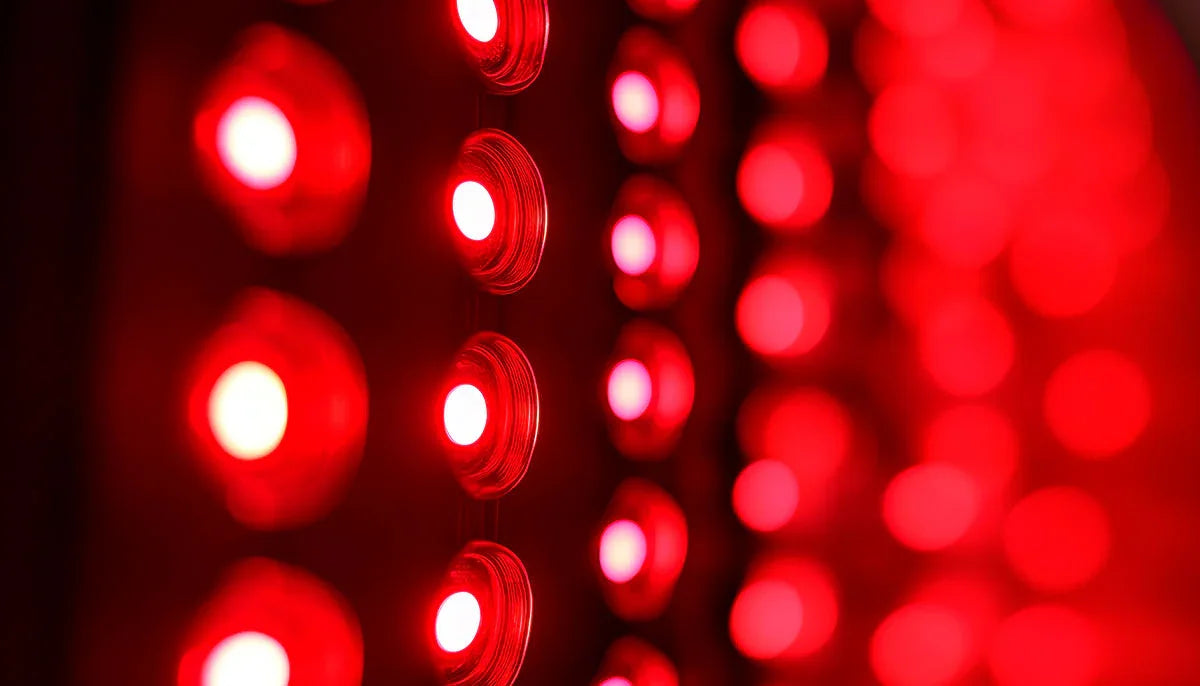 Podrobnost LED rdeče svetlobe za terapijo, sijoče svetle diode v vrstah